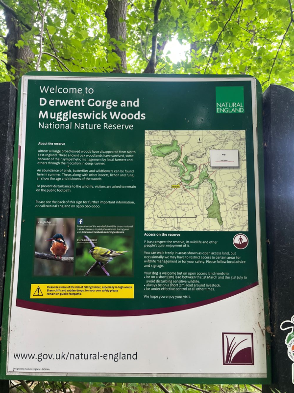 Sign